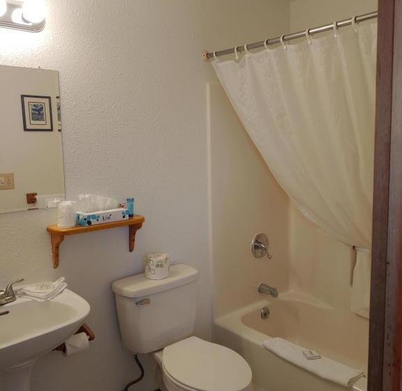 带海景的标准房, The Dublin House Motel