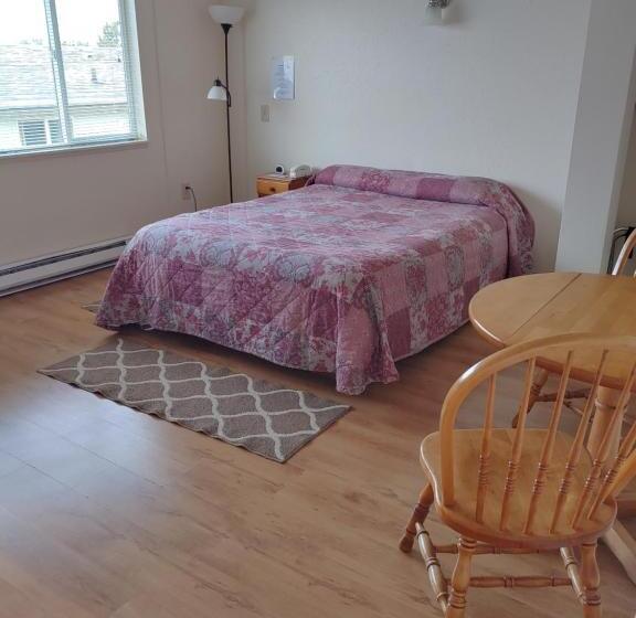 豪华房间, The Dublin House Motel