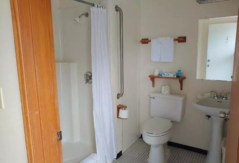 デラックスルーム, The Dublin House Motel