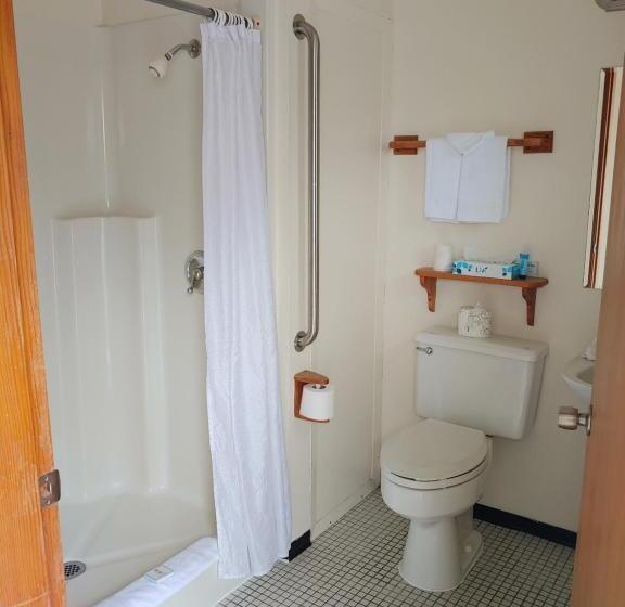 豪华房间, The Dublin House Motel