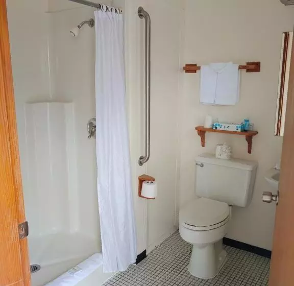 デラックスルーム, The Dublin House Motel