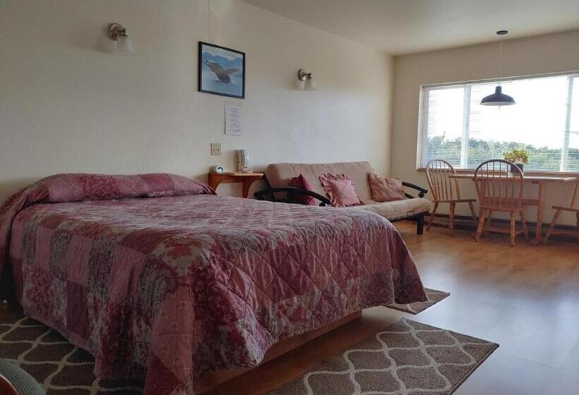 带海景的标准房, The Dublin House Motel