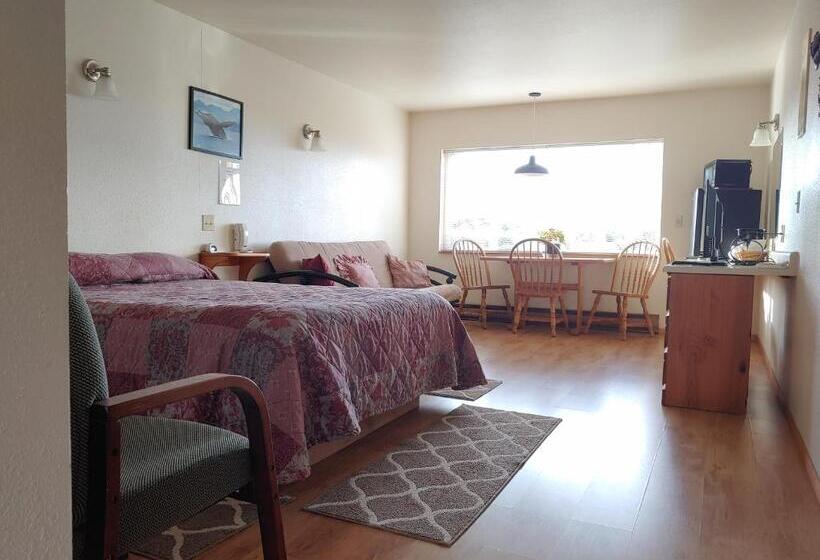 带海景的标准房, The Dublin House Motel