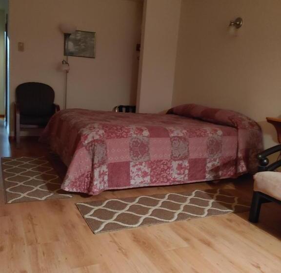 带海景的标准房, The Dublin House Motel