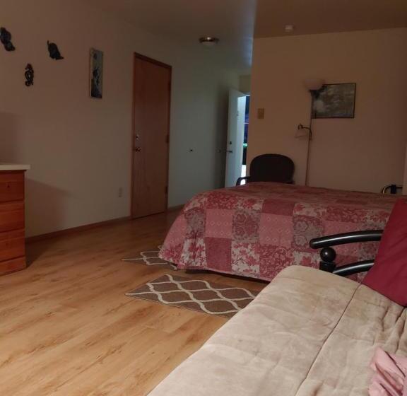 带海景的标准房, The Dublin House Motel