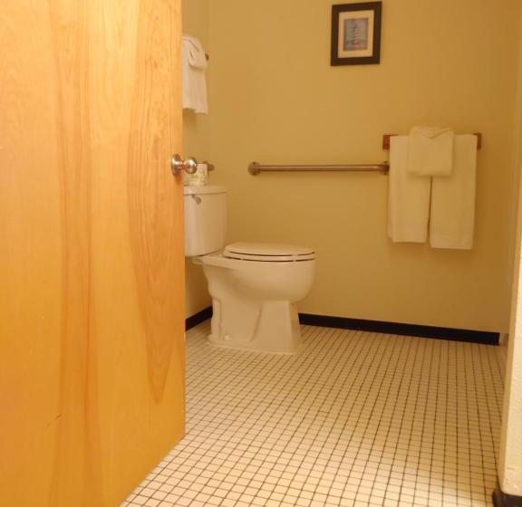 带海景的标准房, The Dublin House Motel