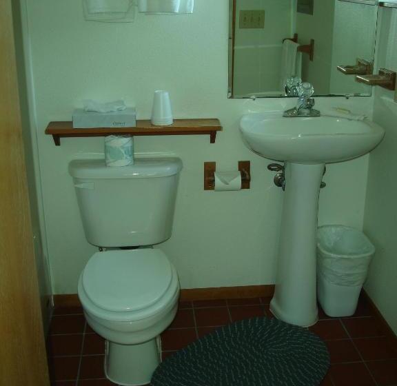 豪华房间, The Dublin House Motel