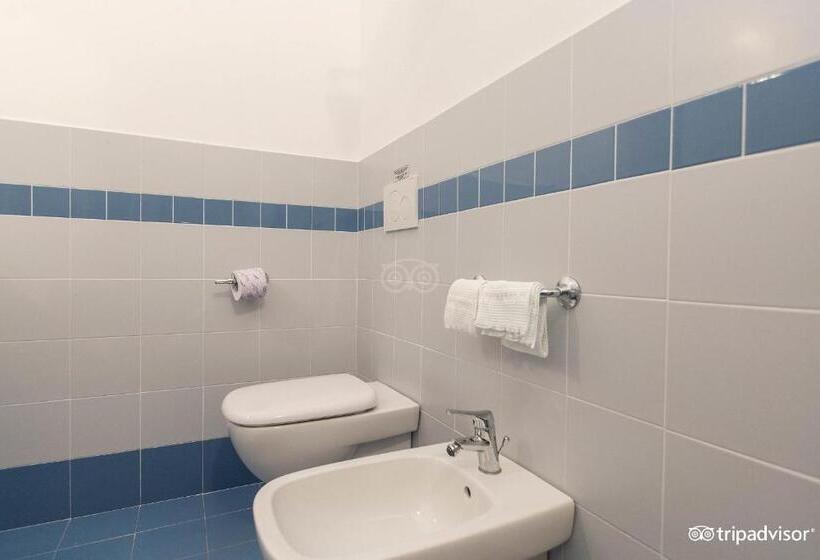 غرفة قياسية, Anna