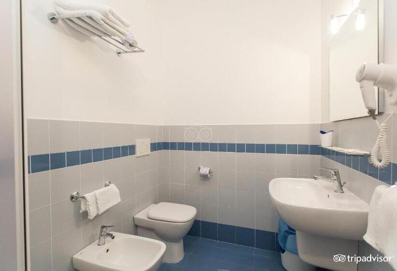 غرفة قياسية, Anna