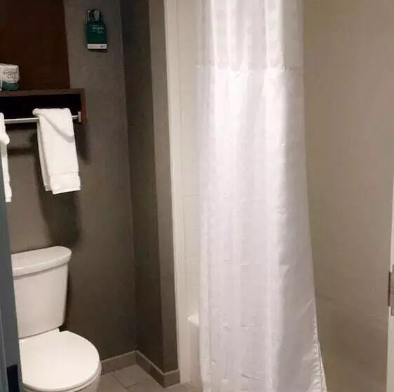 スイート, Homewood Suites By Hilton Syracuse  Carrier Circle