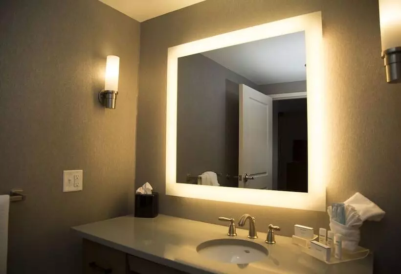 スイート, Homewood Suites By Hilton Syracuse  Carrier Circle