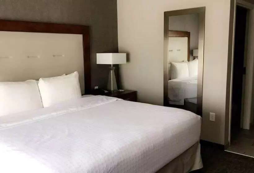 スイート, Homewood Suites By Hilton Syracuse  Carrier Circle