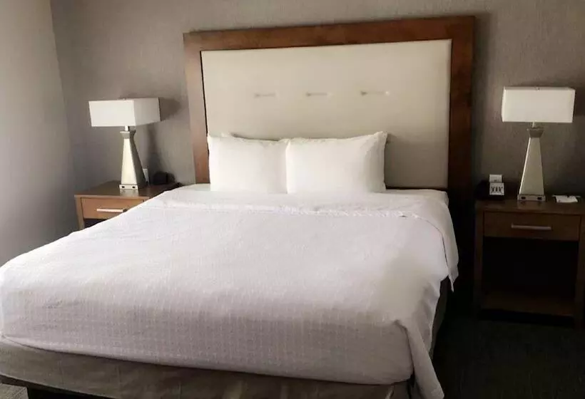 スイート, Homewood Suites By Hilton Syracuse  Carrier Circle