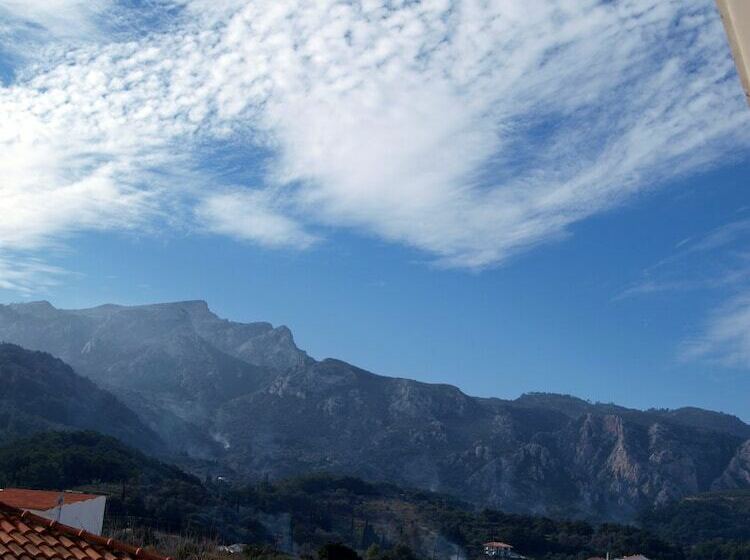 Cameră Standard, Lito