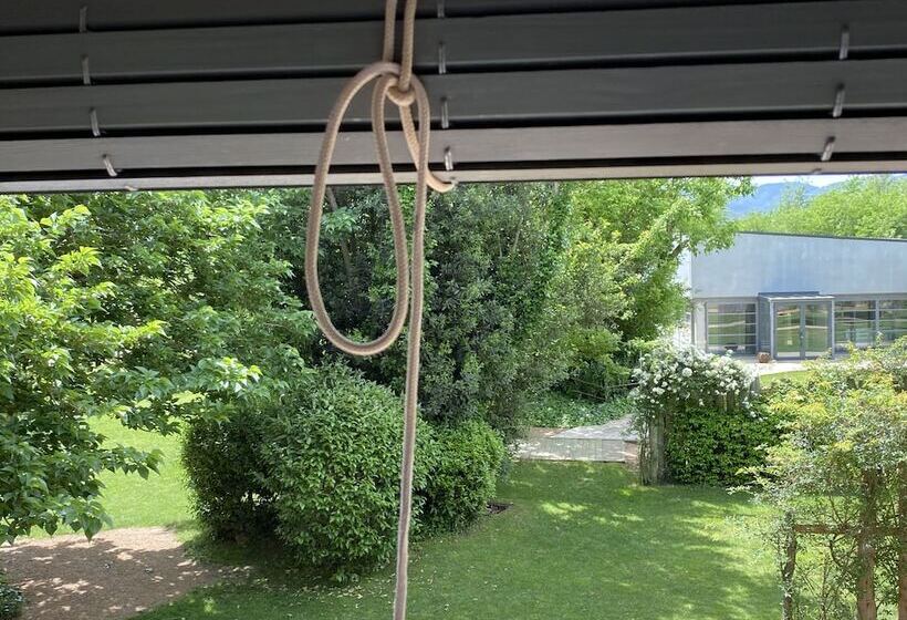 标准间, Mas Carreras 1846