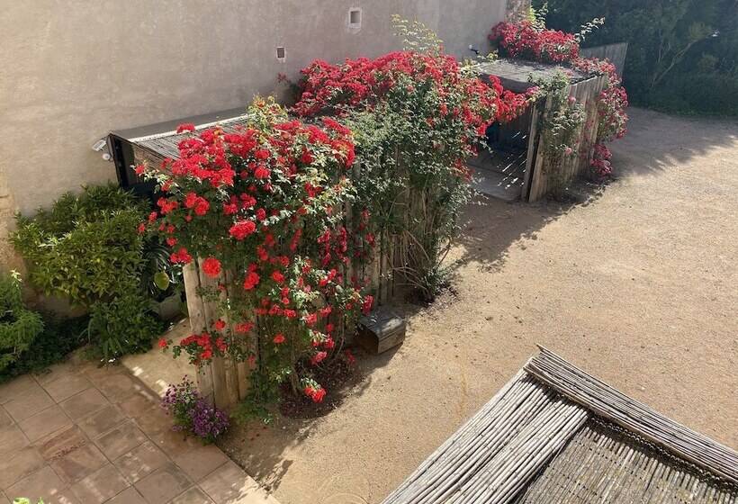 豪华房间, Mas Carreras 1846