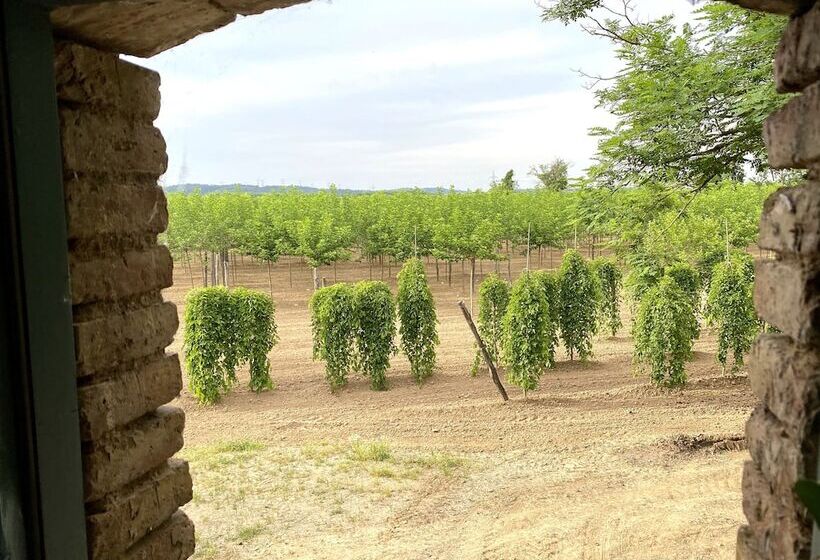 舒适型房间, Mas Carreras 1846