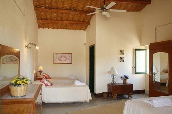 اتاق استاندارد چهار تخته, Masseria Cianciò