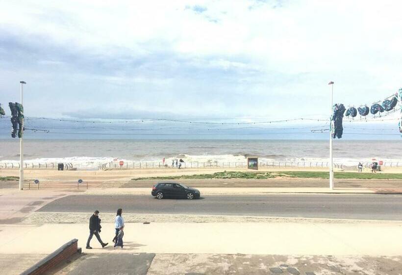 带海景的标准房, Sunny Days