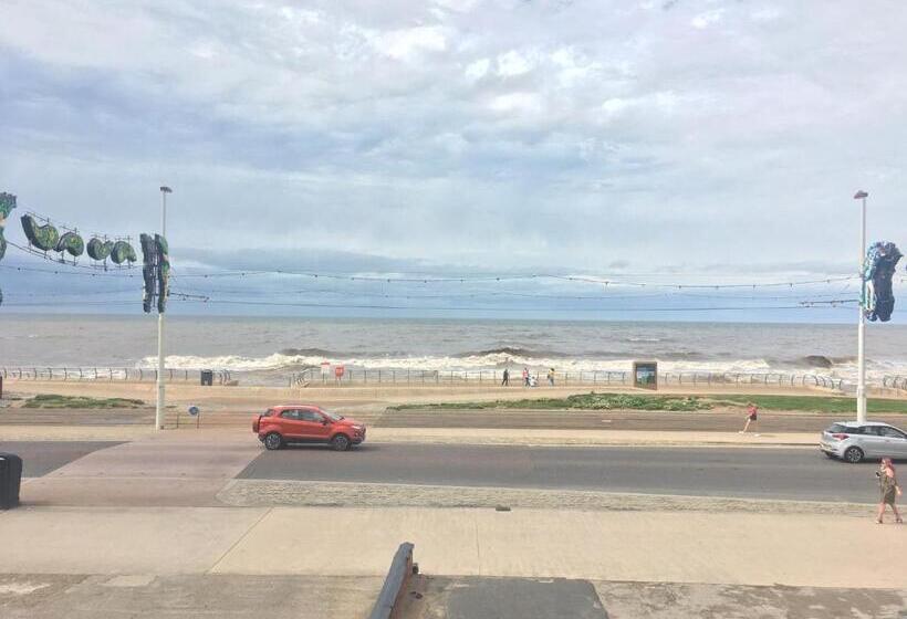 带海景的标准房, Sunny Days