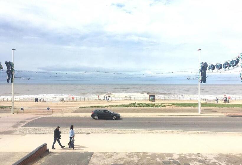 家庭海景房, Sunny Days