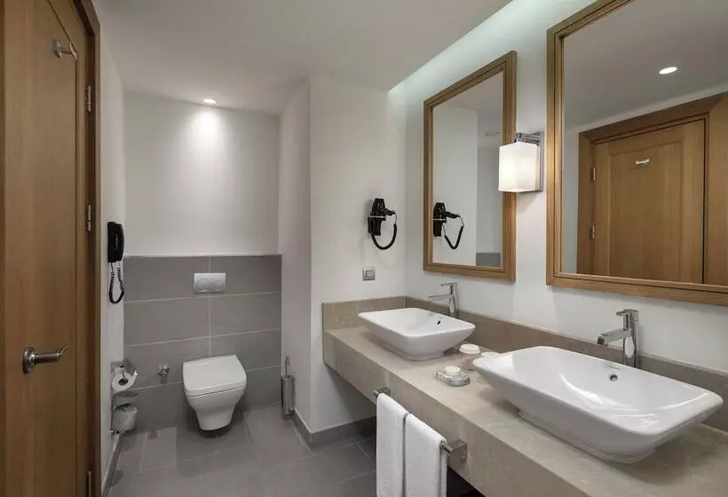 オーシャンビュースーペリアールーム, Titanic Luxury Collection Bodrum