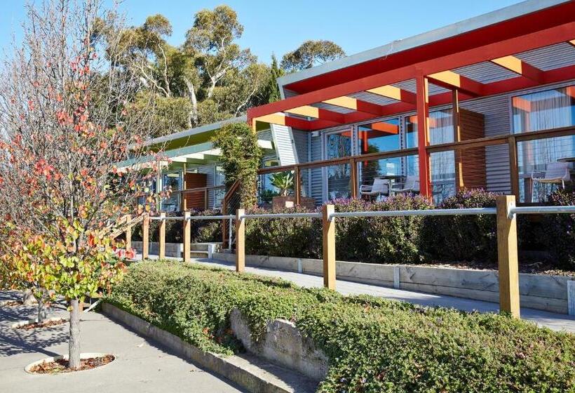 Люкс, Longview Vineyard