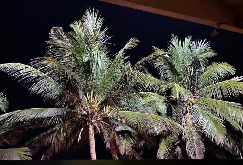 オーシャンビューデラックスルームバルコニー付き, Coconut Bar Sea Lodge
