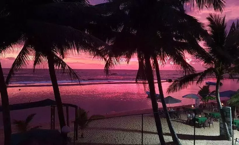 オーシャンビューデラックスルームバルコニー付き, Coconut Bar Sea Lodge