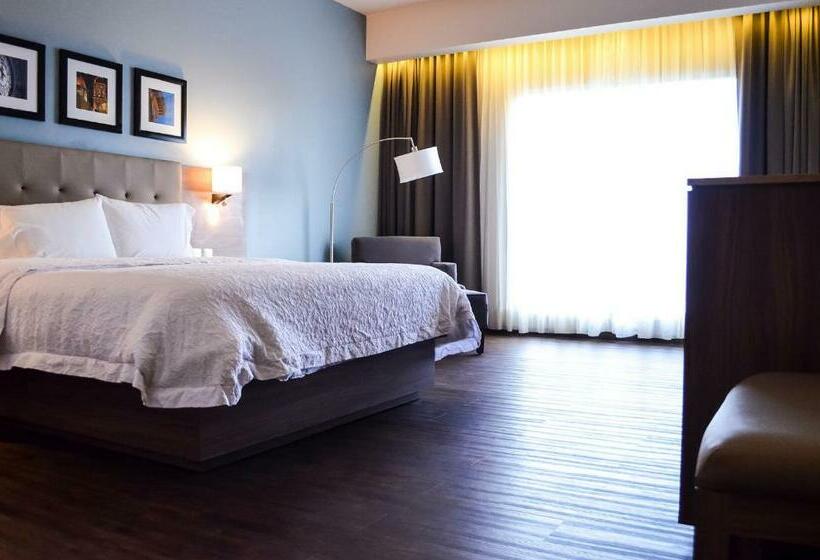 חדר סטנדרט, מיטת קינג, מותאם לאדם עם מוגבלויות, Hampton Inn By Hilton Durango