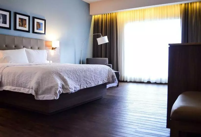 اتاق استاندارد با تخت بزرگ برای معلولان, Hampton Inn By Hilton Durango