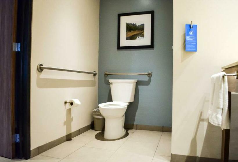 חדר סטנדרט, מיטת קינג, מותאם לאדם עם מוגבלויות, Hampton Inn By Hilton Durango