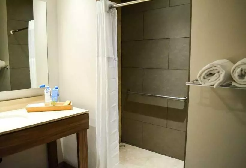 اتاق استاندارد با تخت بزرگ برای معلولان, Hampton Inn By Hilton Durango