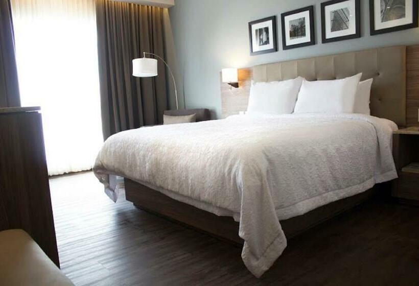 חדר סטנדרט עם מיטת קינג, Hampton Inn By Hilton Durango