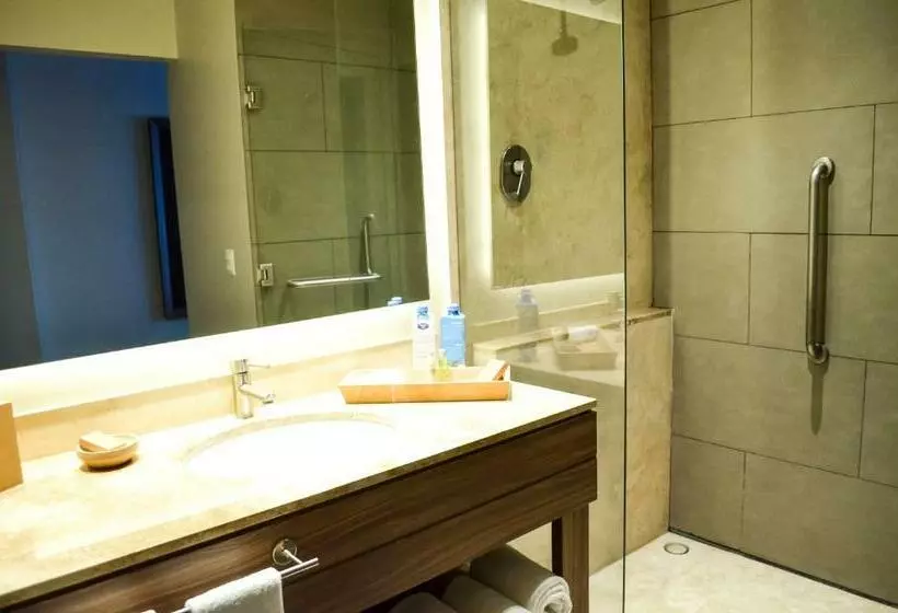 اتاق استاندارد با تخت بزرگ, Hampton Inn By Hilton Durango