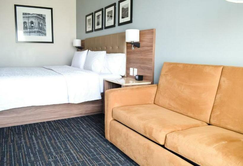 חדר סטנדרט עם מיטת קינג, Hampton Inn By Hilton Durango