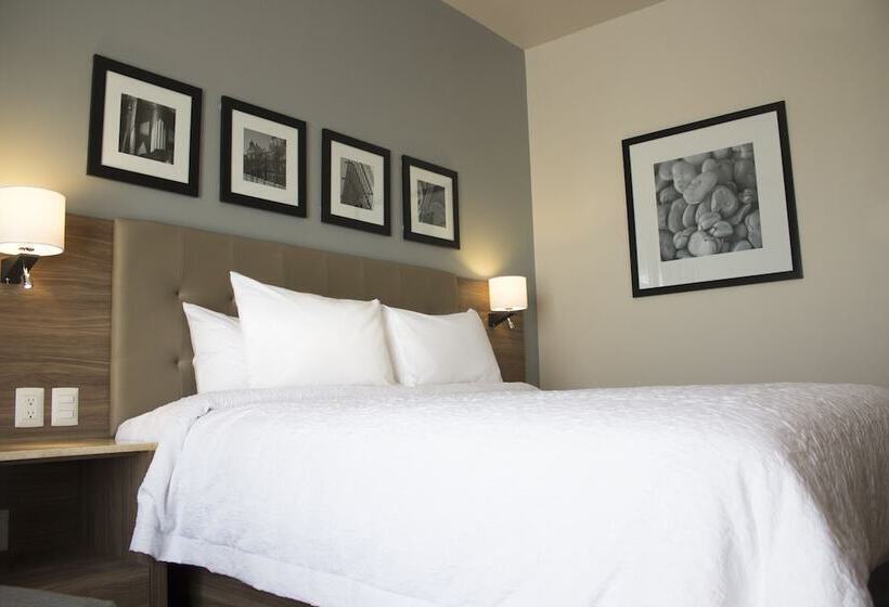 חדר סטנדרט שתי מיטות זוגיות, Hampton Inn By Hilton Durango