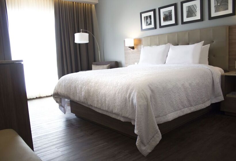 חדר סטנדרט שתי מיטות זוגיות, Hampton Inn By Hilton Durango