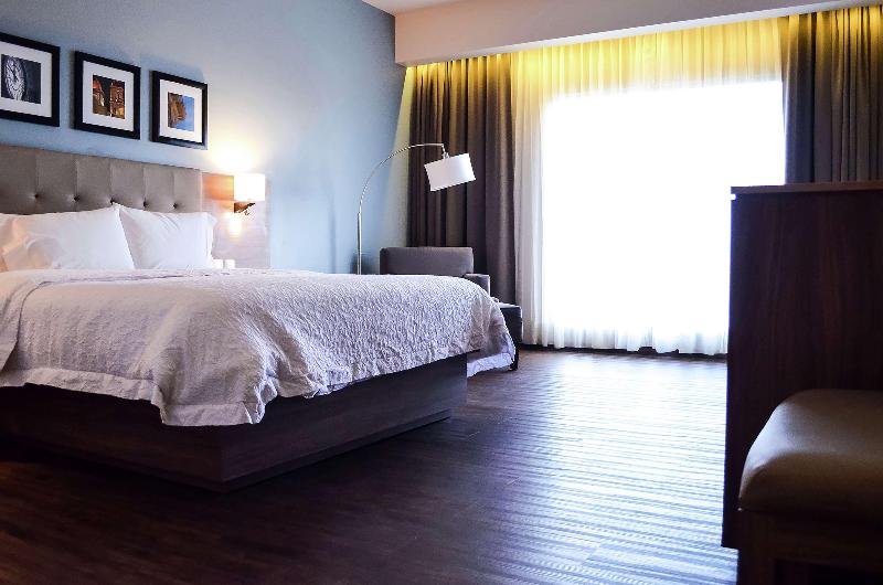 חדר סטנדרט עם מיטת קינג, Hampton Inn By Hilton Durango