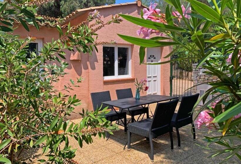 スタンダード４人部屋, Maora Village