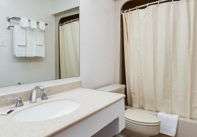 スーペリアールーム, Contempra Inn