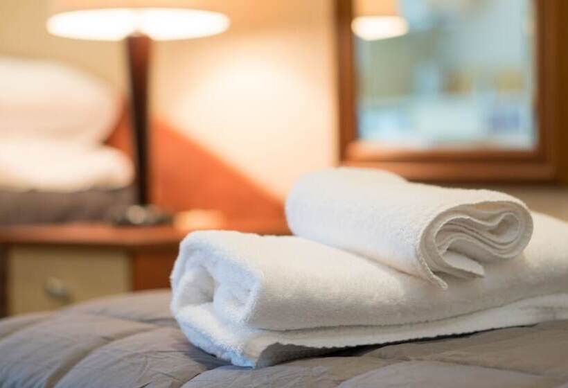 标准间, Aristotles North Shore