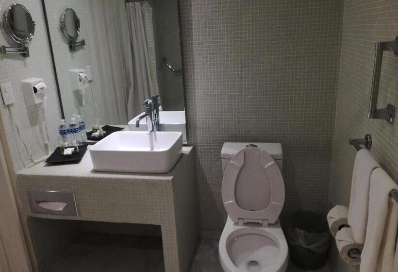 Номер Стандарт Адаптированный для Инвалидов, We Hotel Acapulco