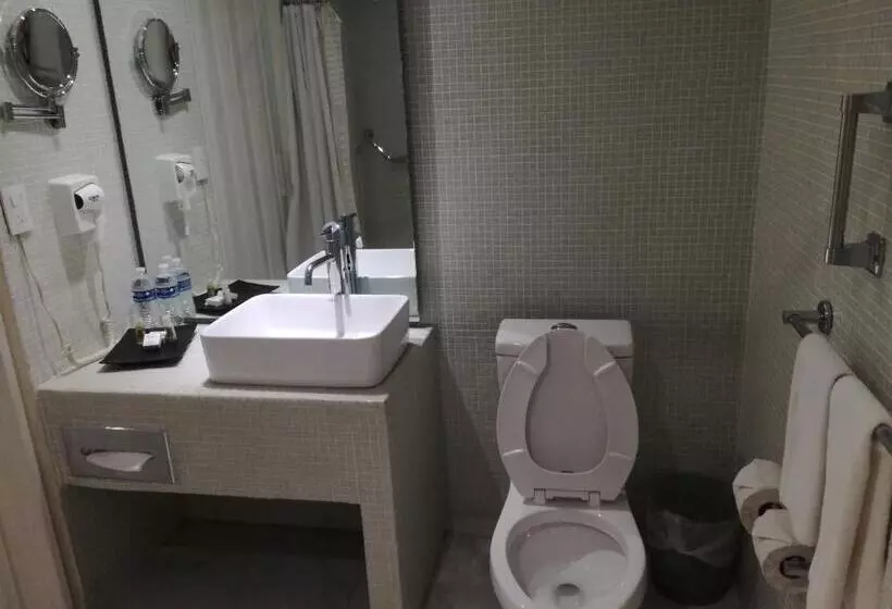 身障者適用スタンダードルーム, We Hotel Acapulco