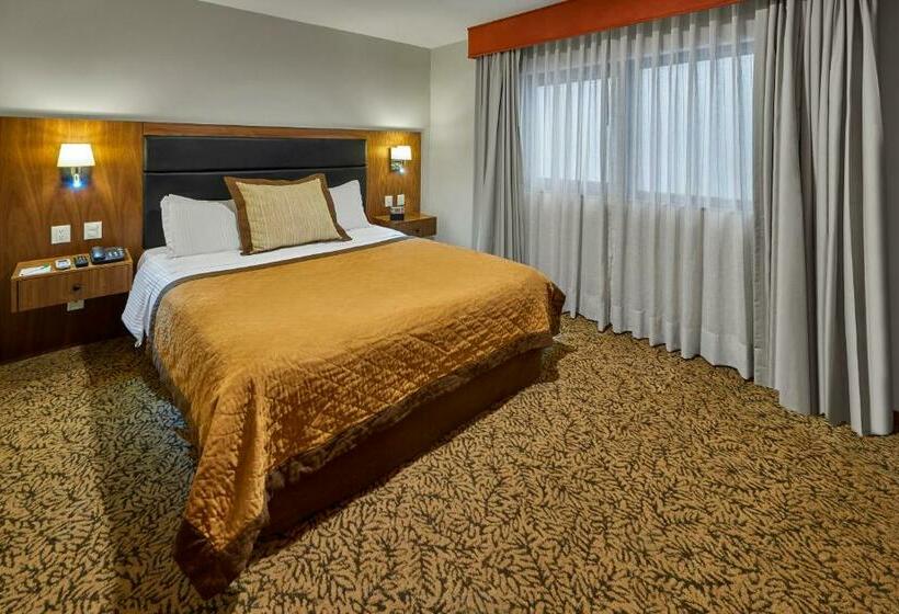 スイート, Wyndham Garden Mexico City Reforma