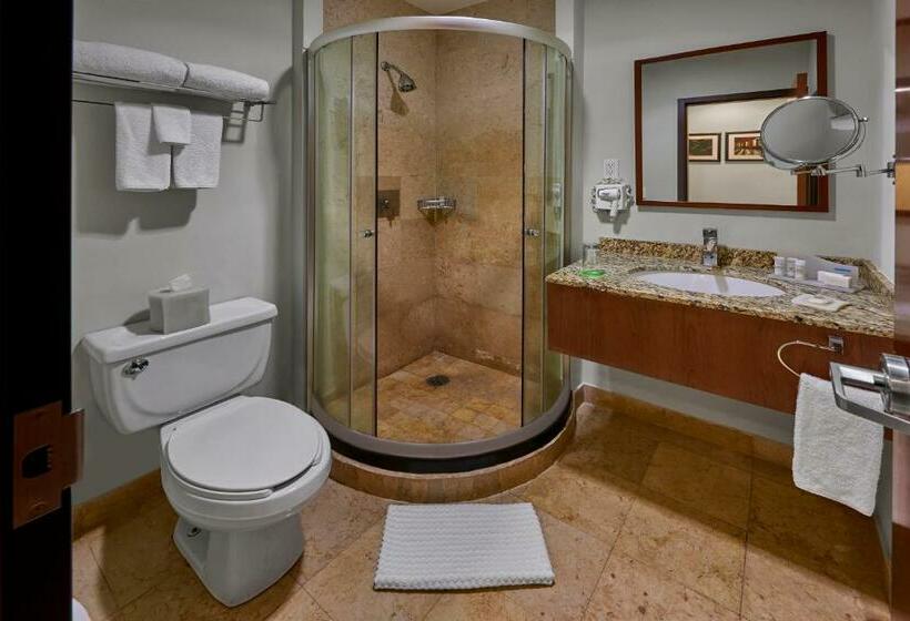 スイート, Wyndham Garden Mexico City Reforma