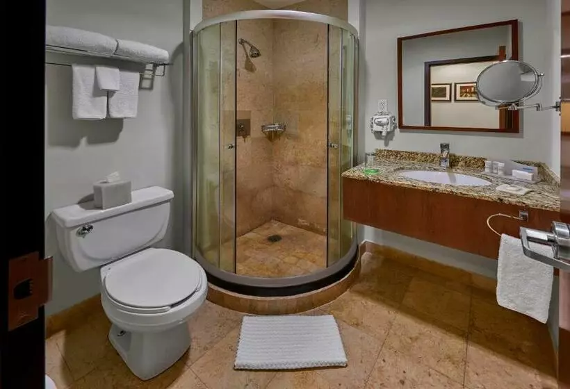 スイート, Wyndham Garden Mexico City Reforma