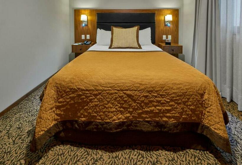 スイート, Wyndham Garden Mexico City Reforma