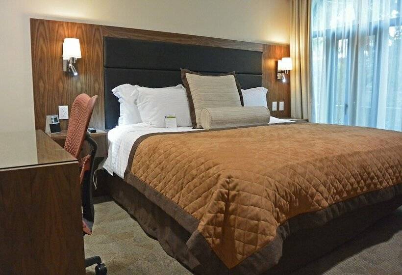 スイート, Wyndham Garden Mexico City Reforma