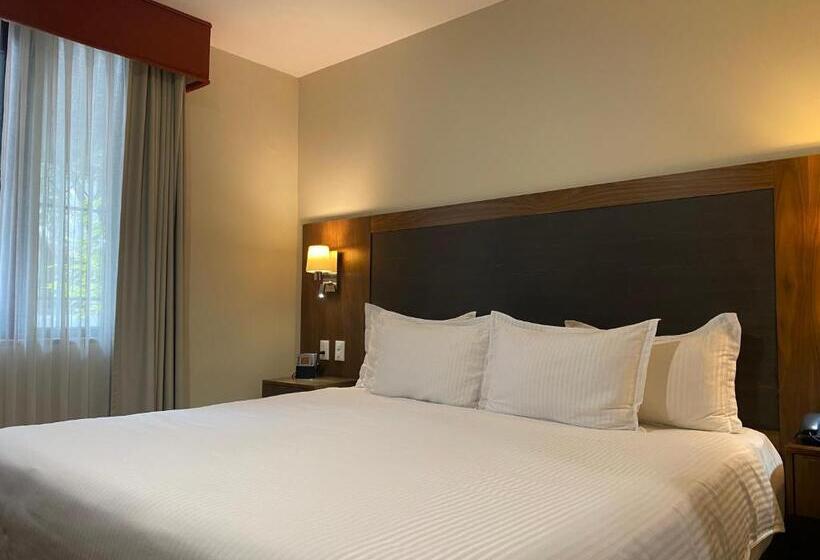 キングサイズベッドのスイートルーム, Wyndham Garden Mexico City Reforma